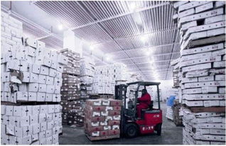 上海到浙江冷鏈物流公司上海到浙江冷鏈食品貨運專線找價