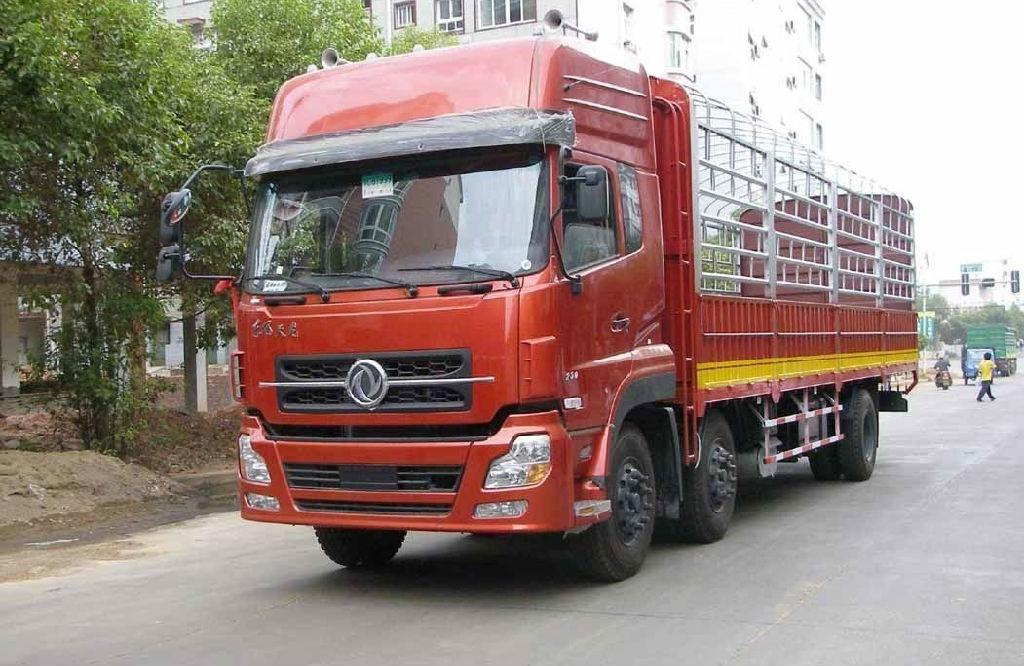 提供服務(wù)墊江普通貨運